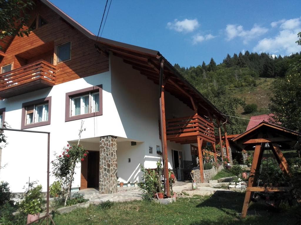 Pensiunea Piatra Mandrutului Скаришоара Екстериор снимка