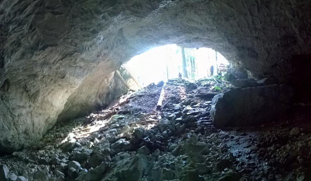 Pensiunea Piatra Mandrutului Скаришоара Екстериор снимка